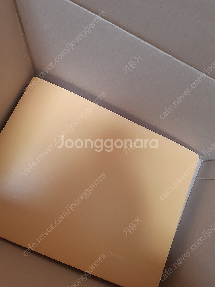 인물집 처분 4.8kg 택포--1