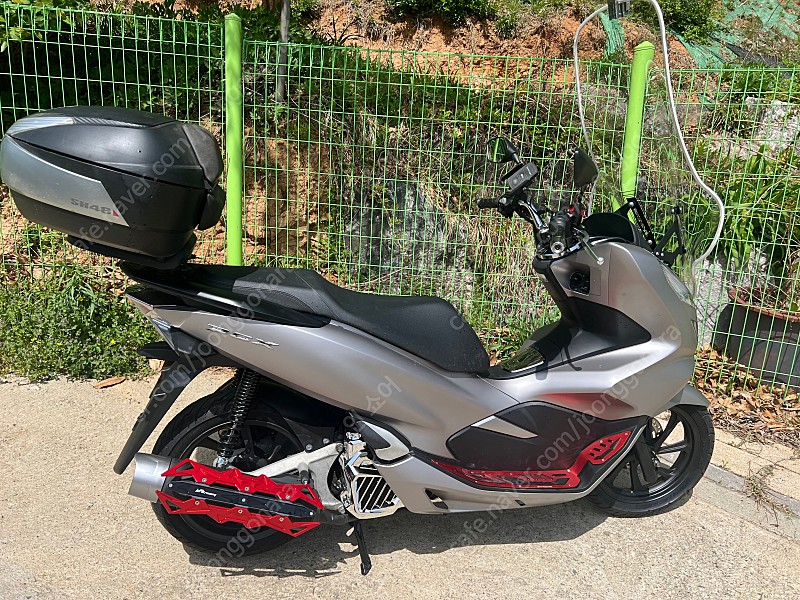 19년형 pcx 18년식