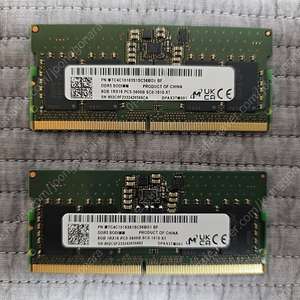 DDR5 5600 8GB x 2개 일괄, 노트북용