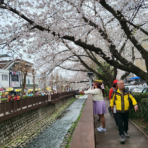 경남 전남 대구 부산 5월25일 콘도 리조트 숙박권 삽니다 양도 하실분