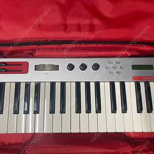 Alesis Micron 알레시스 마이크론 신디사이저 키보드(검정치마 신스)