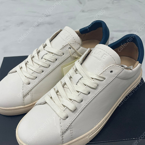 CLAE 클레이 운동화 220 BRADLEY Off-White Leather Ocean