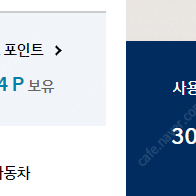 블루멤버스 30만 포인트팝니다!