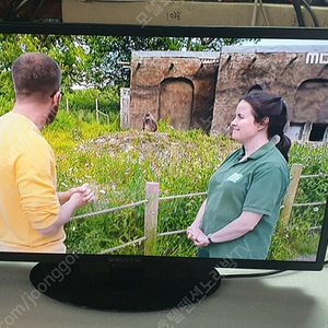 <모텔호텔펜션노래방 업소전문> 동부대우 32인치 LED TV 7만원