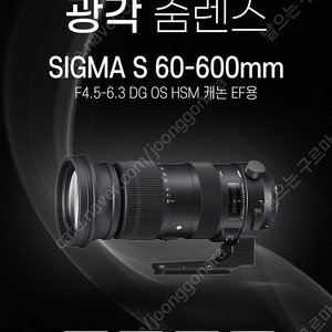 시그마 S 60-600mm F4.5-6.3 DG OS HSM 캐논 마운트 삽니다.
