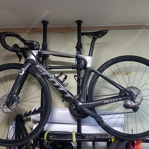 2019 스캇 풀카본 사이클 자전거 포일20 디스크 49(XS)사이즈, 울테그라