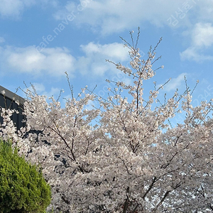 쿠팡메가뷰티 입장권 삽니다