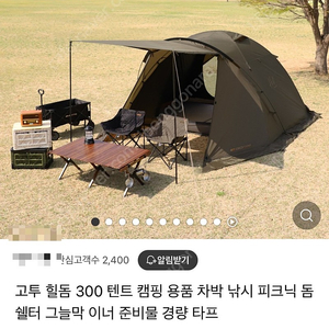 고투 힐돔 팝니다