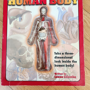 Uncover human body 언커버 휴먼 바디. 영어 원서
