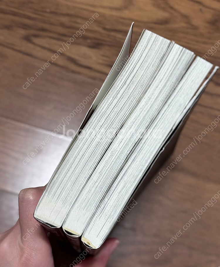 시미즈 레이코 비밀 10~12--1