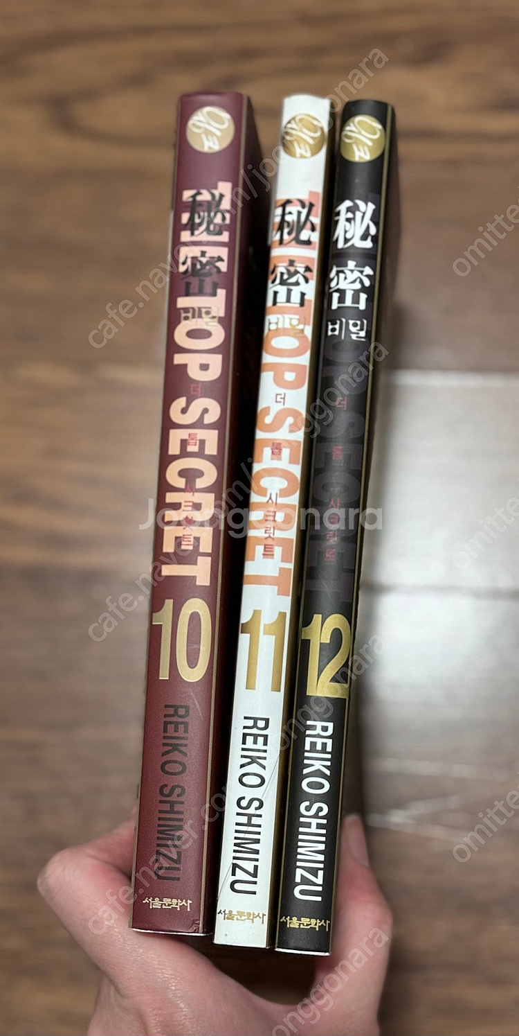 시미즈 레이코 비밀 10~12--2