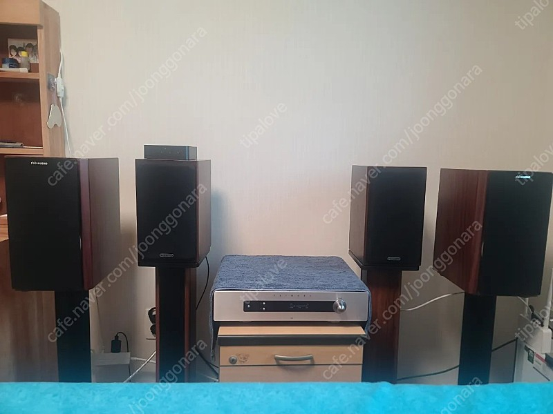 다인오디오 포커스160--0