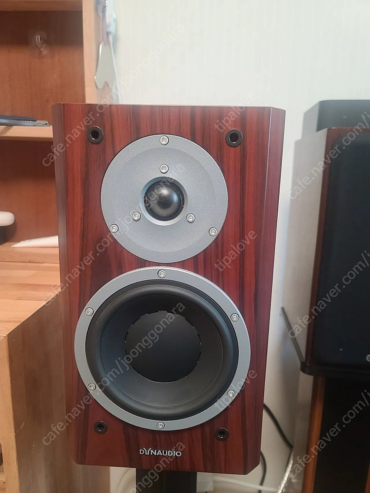 다인오디오 포커스160--1