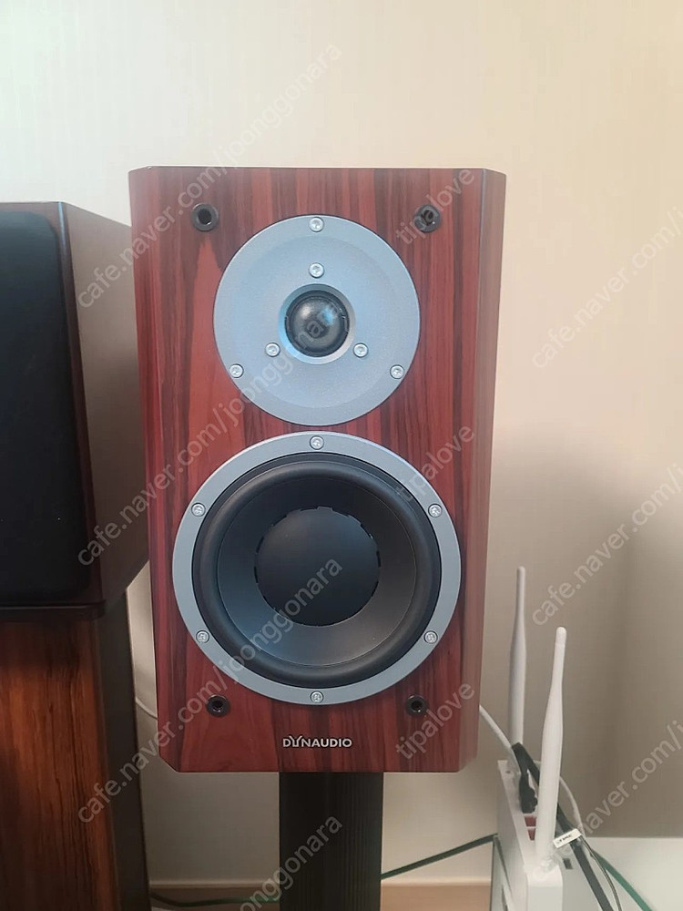 다인오디오 포커스160--3