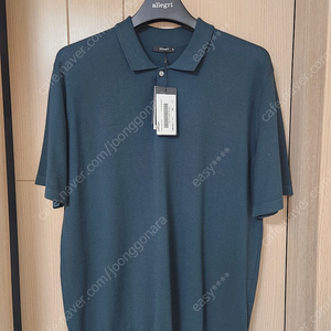 [XL]알레그리 22ss Mild Rayon 카라 니트 딥그린 색상