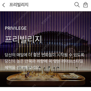 [판매양도] 제네시스 GV80 프리빌리지 양도합니다.