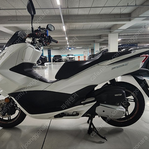 PCX
