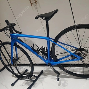 캐논데일 시냅스 여성 로드자전거. 21년 구매