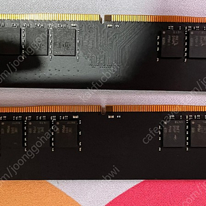 rexar ddr4 3600c18 16g x2 (32g)