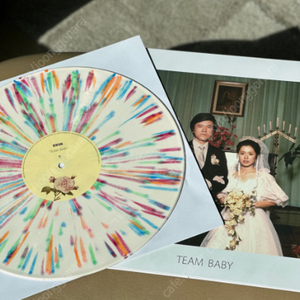 검정치마 TEAMBABY LP 삽니다