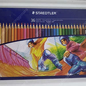 스테들러 색연필 36색