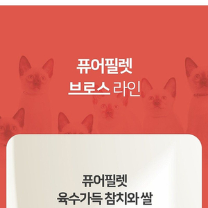 퓨어필렛 고양이 캔