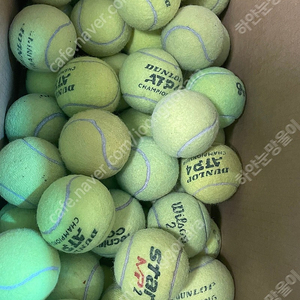 테니스공 일괄판매