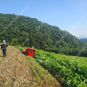 광역 제초기 (무선조정, 국내제품)