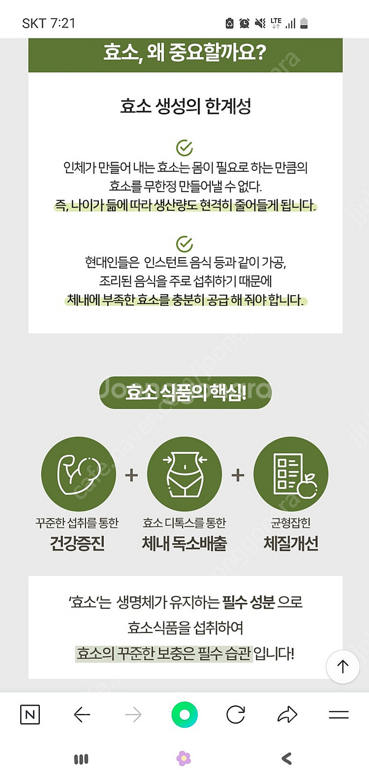 약손매실효소--5