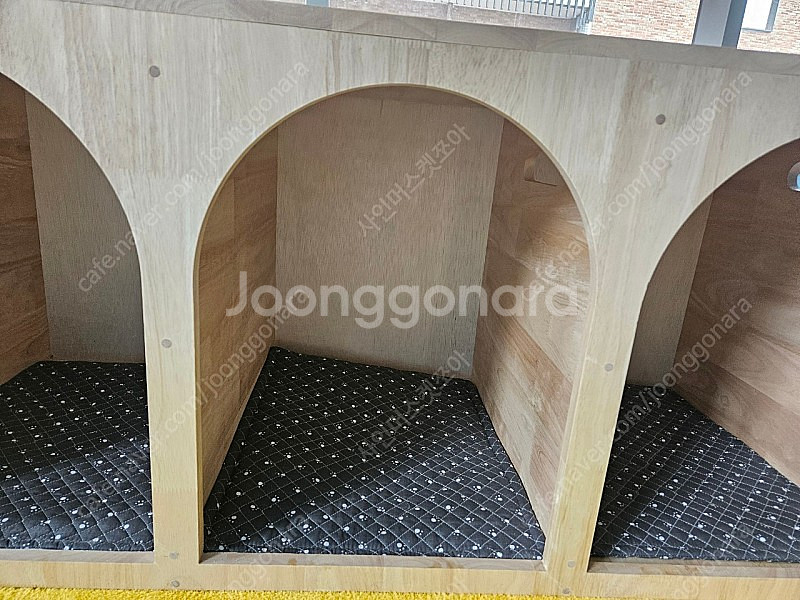 애견동굴 애견쉼터--3
