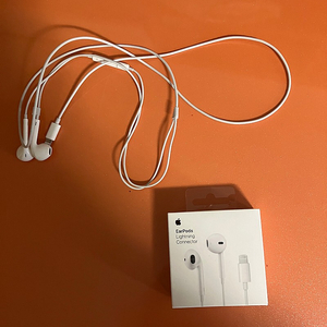 애플 이어팟 라이트닝 커넥트