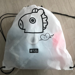 BT21 망이 쿠션