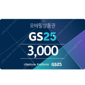 GS25 3000 ..2500원