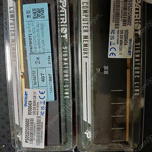 패트리어트 Patriot DDR5 32G PC5-44800 CL46 SIGNATURE 5600MHz *2개