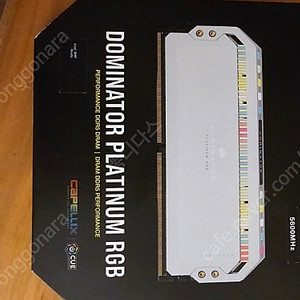 커세어 도미네이터 플래티넘 DDR5 CL40 64G(32GX2)
