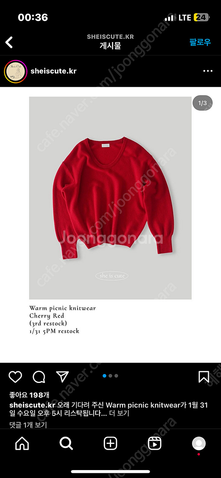 쉬이즈큐트 피크닉니트 레드--0