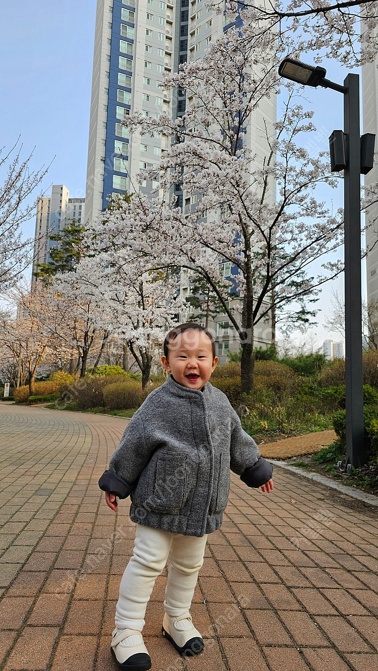 오늘 4/25 인스파이어 오프닝패키지 20만크레딧포함 ...--0
