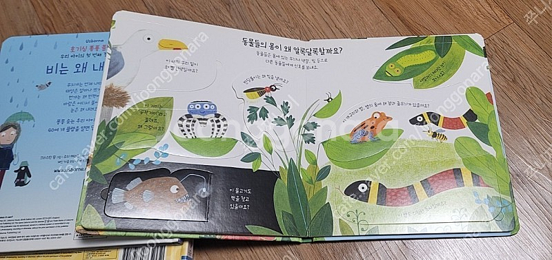 어스본 호기심 퐁퐁 플랩북 4권(거의새책)--4