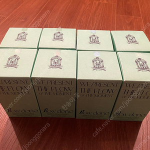 오데어 라네띠 플로우도노 모링가 올리페라 루이보스8box(일괄가격/2box 5만원)