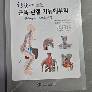 한눈에 보는 근육 관절 기능해부학 : 근육 동작 스포츠 손상