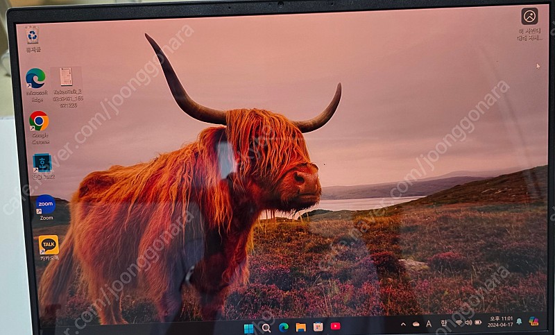 acer Swift GO 16 노트북 OLED, 16GB, 512GB NVMe SSD, i7-13620H, AS 5년무상보증