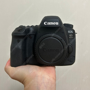 캐논 Canon 육두막 6D mark 2