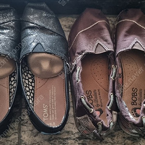 탐스 글리터, 스케쳐스 BOBS 여성 신발