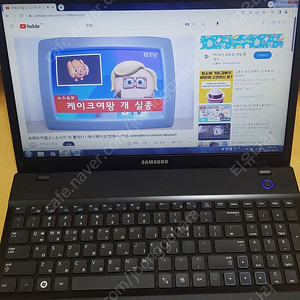 삼성 노트북 NT300V5A-S66M