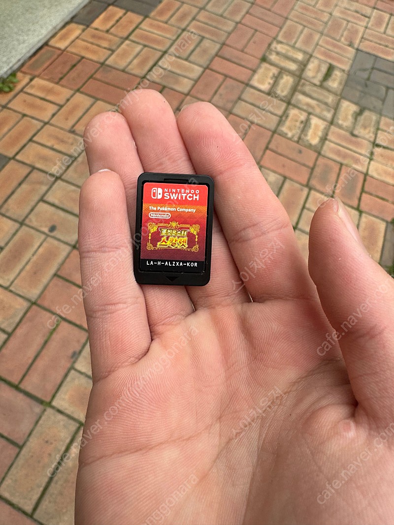 Beijing Daily: WINDOW 윈도우 / 칭따오 / 야식 지엔빙 / 중국 길거리 음식 : 네이버 블로그, image size:800x1067