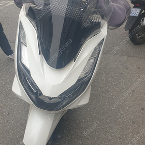 21년 pcx125 정리합니다