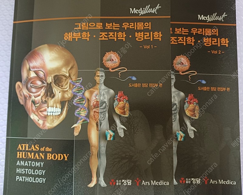 그림으로 보는 우리몸의 해부학 조직학 병리학 (미사용새책)