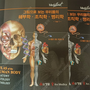 그림으로 보는 우리몸의 해부학 조직학 병리학 (미사용새책)