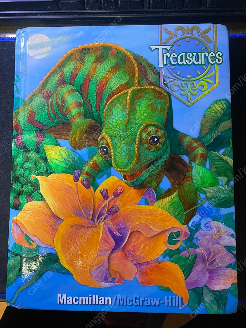 Treasures. Grade 4. student book. cd없음. 미국 초등학교 교과서.