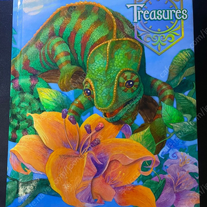 Treasures. Grade 4. student book. cd없음. 미국 초등학교 교과서.